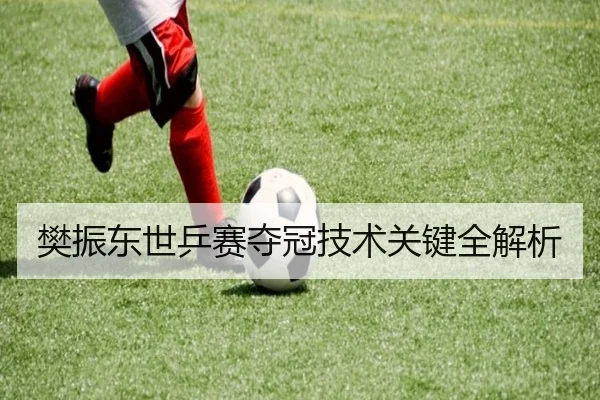 樊振东世乒赛夺冠技术关键全解析